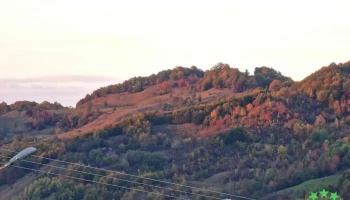 Năruja - Năruja