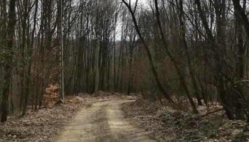 Ocnița - Ocnița