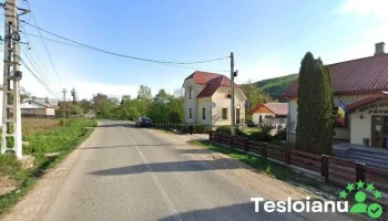 ocolul silvic Pătrăuți - Pătrăuți