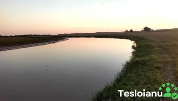 Oraş Fierbinţi-târg - Romania