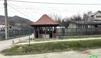 Oraş Ştefăneşti - Romania