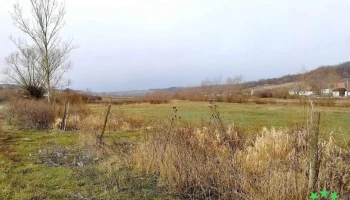 Orţiţa - Orţiţa