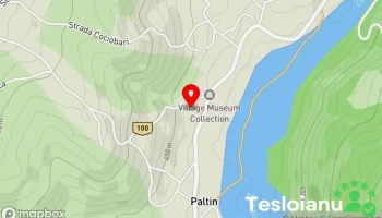 Paltin - Paltin