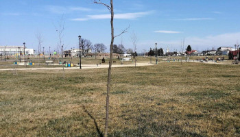 Parc Brazi - Brazii De Sus