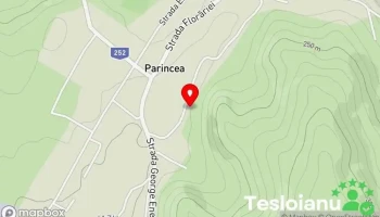 Parincea - Parincea