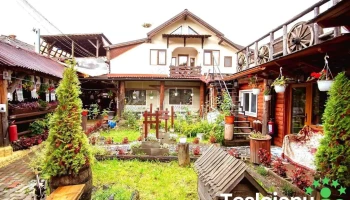 Pensiunea Ancuţa Mocanita Maramures - Vișeu De Sus