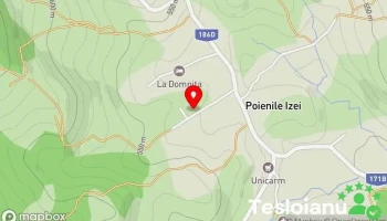 Pensiunea Lenuța - Poienile Izei