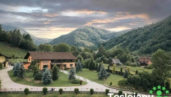 Pensiunea Rau Sadului Restaurant - Râu Sadului