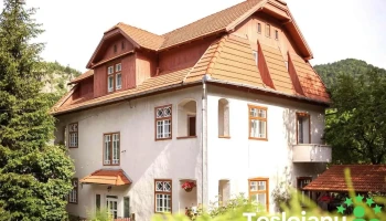 Pensiunea Ritz – Cazare Băile Tușnad - Băile Tușnad