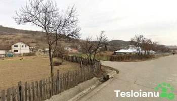 Percu Trans Srl - Chetriș