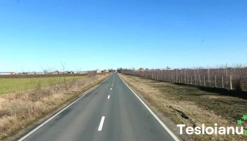 Periam - Periam