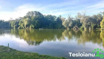 Pescăria Rădești - Cod Poștal