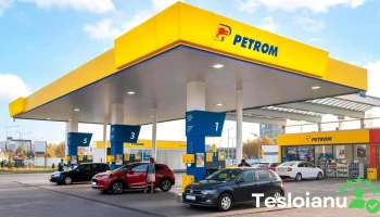 Petrom - Pâncota 315600