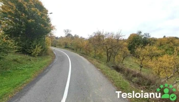 Peştera Boiu Mare - Boiu Mare