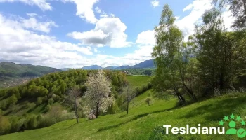 Peștera - Peștera