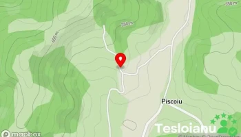 Piscoiu - Piscoiu