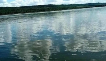 Piscu Vechi - Piscu Vechi