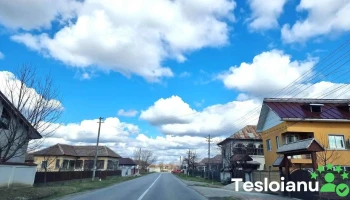 Pleşoiu - Pleşoiu