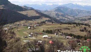 Poiana Cătunenilor - Ivăneasa