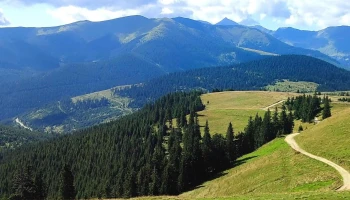 Poiana ilvei - Poiana Ilvei