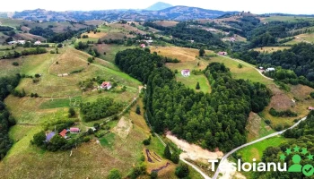 Poiana mărului - Poiana Mărului