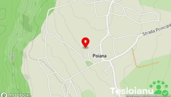 Poiana - Poiana