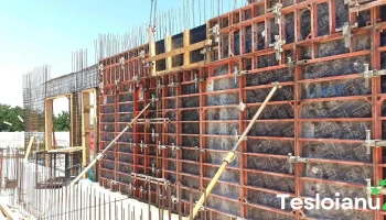 Politia Orasului Insuratei - Însurăței