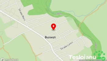 Poliţia Buzoeşti - Comuna Buzoești