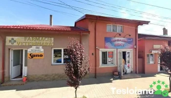 Poliţia Răducăneni - România
