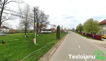 Poliţia Săvineşti - România