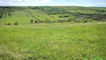 Poroina Mare - Poroina Mare