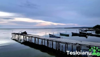 Port vechi Sarichioi - Sarichioi 827190