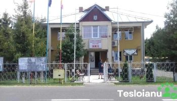 Primăria Comunei Săvinești - Săvinești 617410