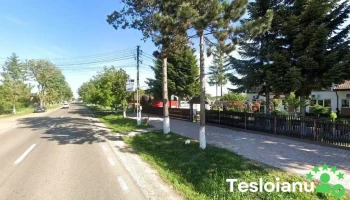 Primăria Comunei Vf. Câmpului - Vârfu Câmpului