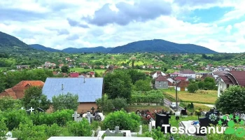 Primăria Cămărzana - Cămărzana