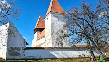Primăria Merghindeal - Merghindeal