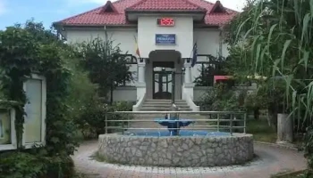 Primăria Pietroasele - Str. Principala, Dj205 188