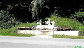 Primăria Rusca Montană - Rusca Montană