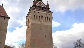 Primăria Saschiz - Saschiz