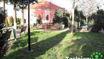 Primăria Sintea Mare - Sintea Mare