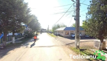 Primăria Troianul - Troianul