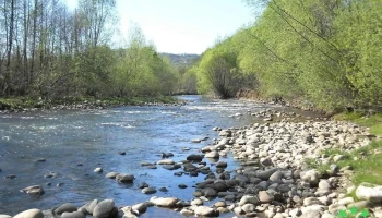 Primăria Zăvoi - Zăvoi
