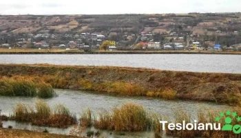 Puiești - Puiești
