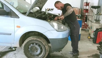 Puscasu auto garaj - Comuna Frumușica 717160