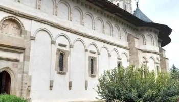 Putna - Putna