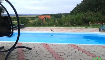Pădurea Alparea - Romania
