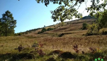 Pădurea Crăiasca - Ocna Șugatag
