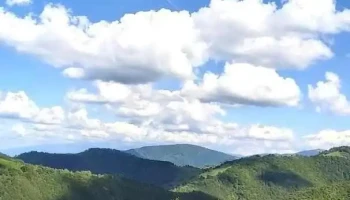 Păltiniș - Păltiniș