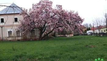 Păulești - Păulești