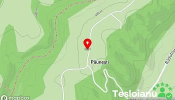 Păuneşti - Păuneşti